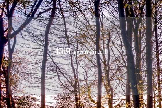 初识 ogremain.dll