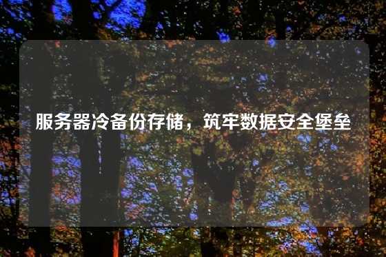 服务器冷备份存储，筑牢数据安全堡垒