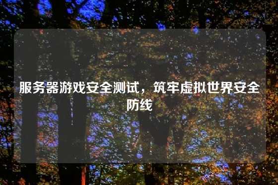 服务器游戏安全测试，筑牢虚拟世界安全防线