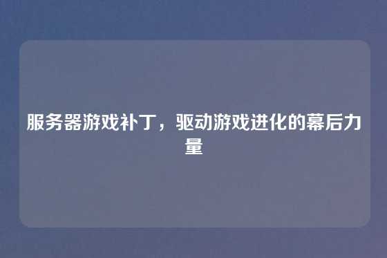 服务器游戏补丁，驱动游戏进化的幕后力量