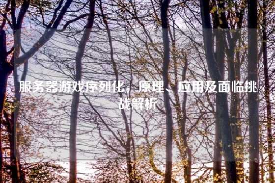 服务器游戏序列化，原理、应用及面临挑战解析