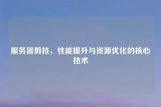 服务器剪枝，性能提升与资源优化的核心技术