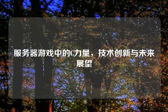 服务器游戏中的C力量，技术创新与未来展望