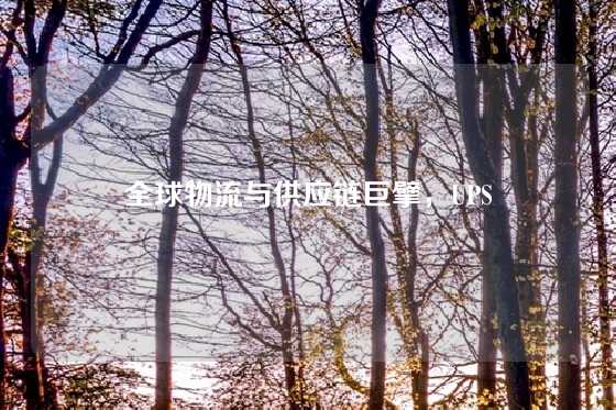 全球物流与供应链巨擘，UPS
