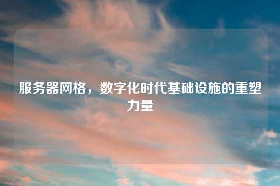 服务器网格，数字化时代基础设施的重塑力量