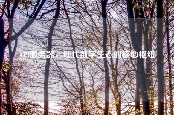 API服务器，现代数字生态的核心枢纽
