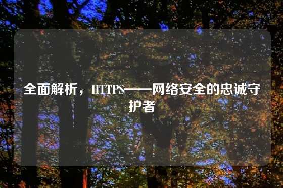 全面解析，HTTPS——网络安全的忠诚守护者