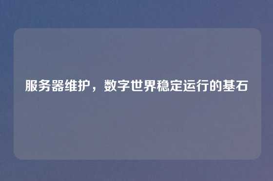 服务器维护，数字世界稳定运行的基石