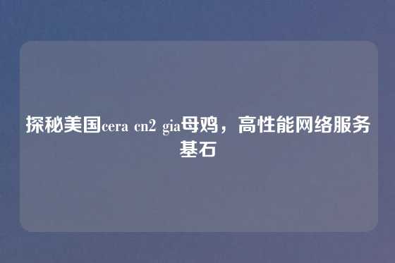 探秘美国cera cn2 gia母鸡，高性能网络服务基石