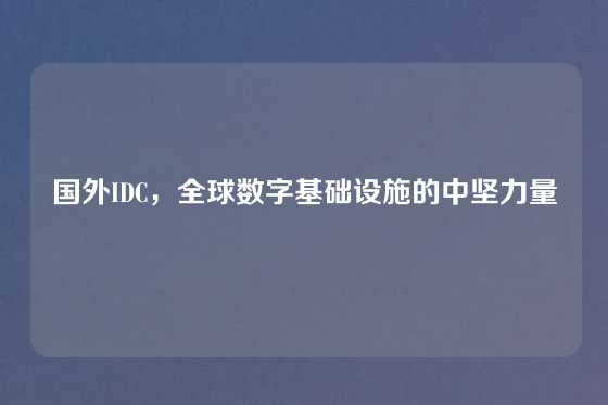 国外IDC，全球数字基础设施的中坚力量