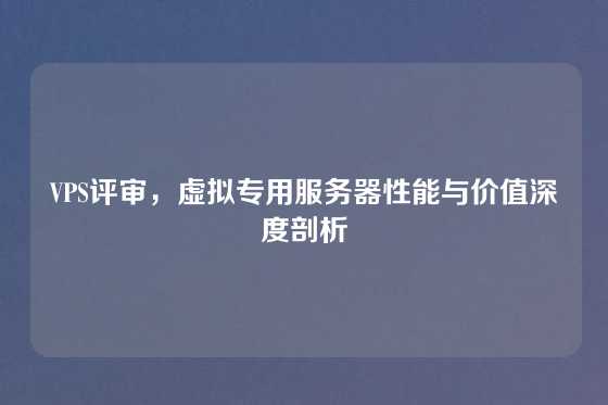 VPS评审，虚拟专用服务器性能与价值深度剖析