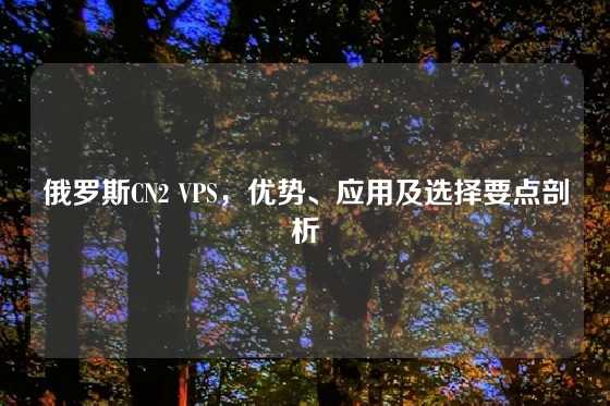 俄罗斯CN2 VPS，优势、应用及选择要点剖析