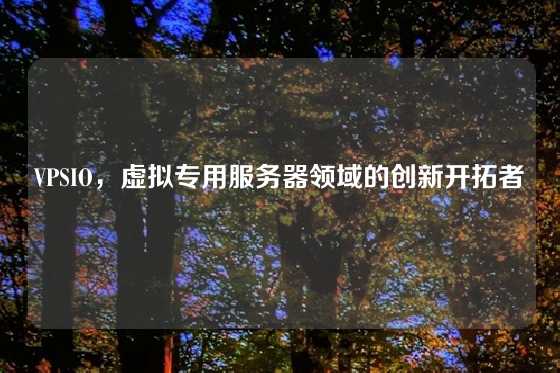 VPSIO，虚拟专用服务器领域的创新开拓者