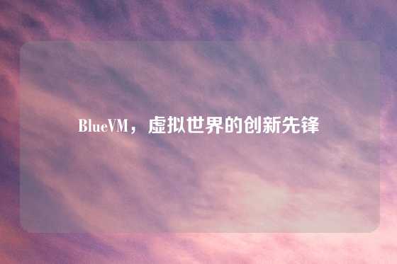 BlueVM，虚拟世界的创新先锋