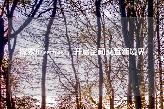 探索DirectSpace，开启空间交互新境界