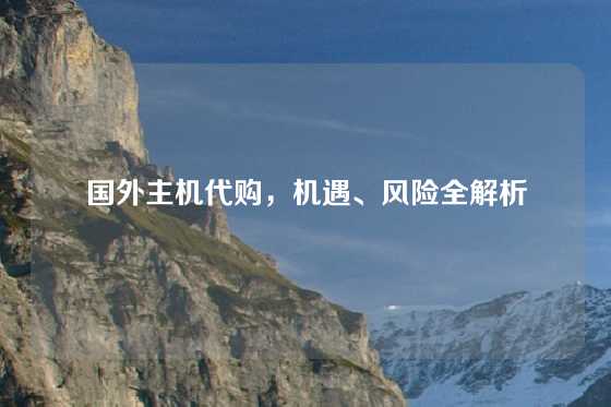 国外主机代购，机遇、风险全解析