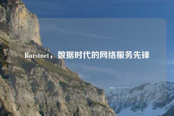 Burstnet，数据时代的网络服务先锋