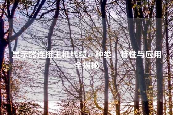 显示器连接主机线缆，种类、特性与应用全揭秘