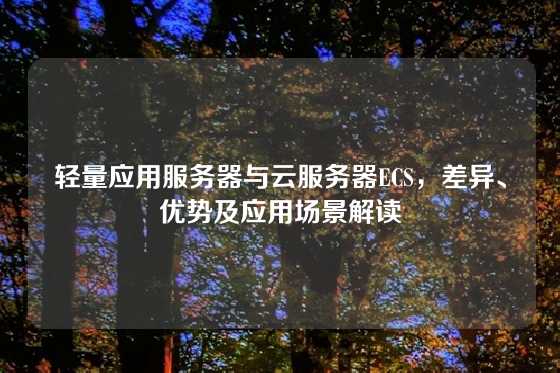 轻量应用服务器与云服务器ECS，差异、优势及应用场景解读
