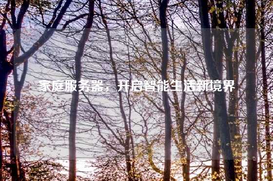 家庭服务器，开启智能生活新境界