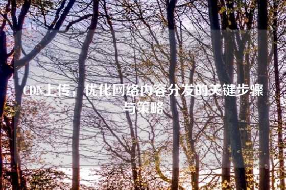 CDN上传，优化网络内容分发的关键步骤与策略