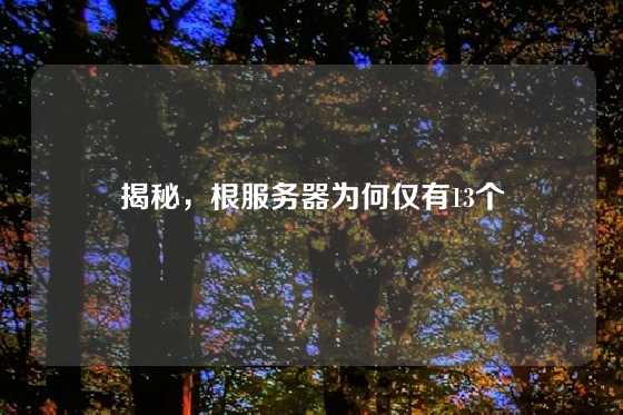 揭秘，根服务器为何仅有13个