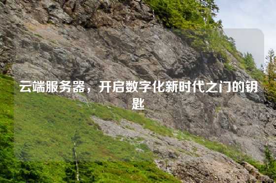 云端服务器，开启数字化新时代之门的钥匙