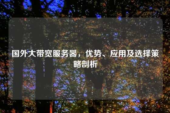 国外大带宽服务器，优势、应用及选择策略剖析