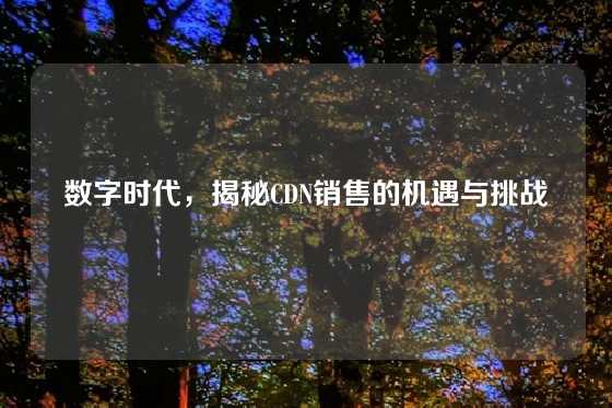 数字时代，揭秘CDN销售的机遇与挑战