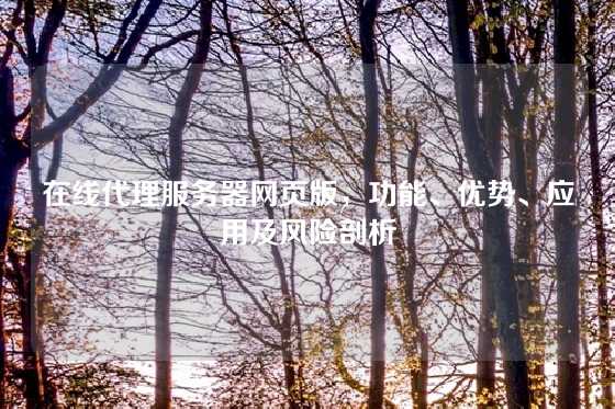 在线代理服务器网页版，功能、优势、应用及风险剖析