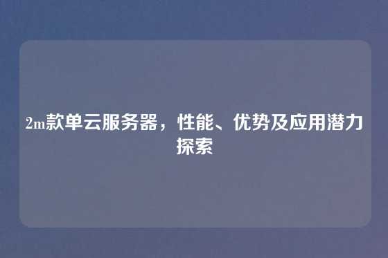 2m款单云服务器，性能、优势及应用潜力探索