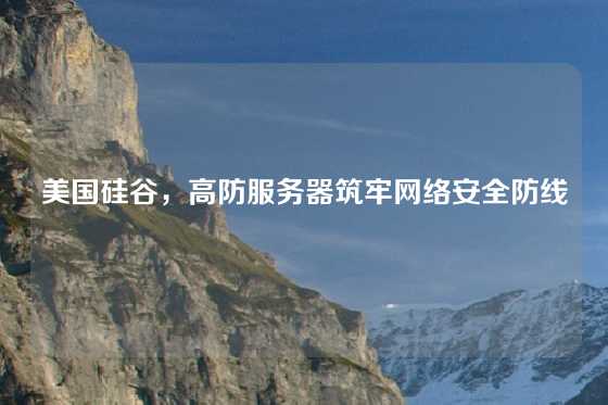 美国硅谷，高防服务器筑牢网络安全防线