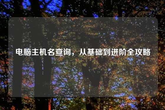 电脑主机名查询，从基础到进阶全攻略