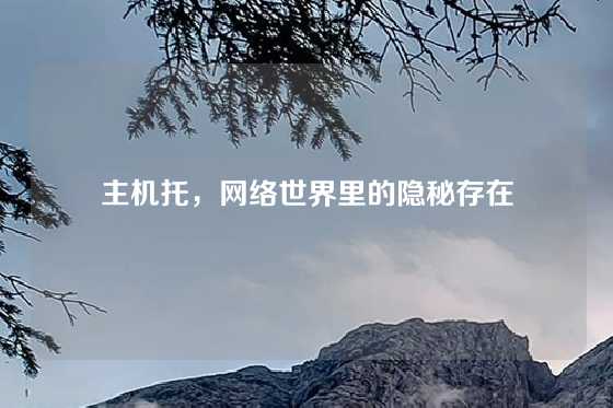 主机托，网络世界里的隐秘存在