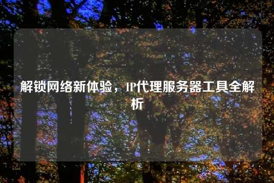 解锁网络新体验，IP代理服务器工具全解析