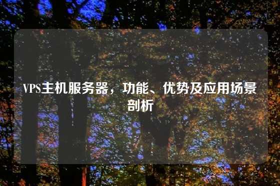 VPS主机服务器，功能、优势及应用场景剖析