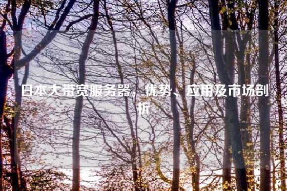 日本大带宽服务器，优势、应用及市场剖析