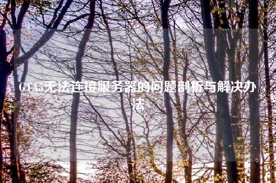 GTA5无法连接服务器的问题剖析与解决办法