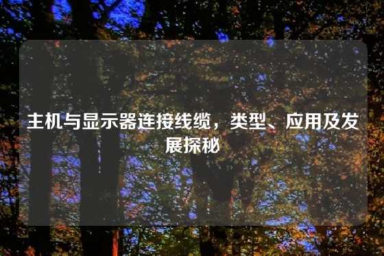 主机与显示器连接线缆，类型、应用及发展探秘