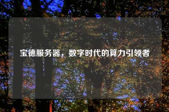 宝德服务器，数字时代的算力引领者