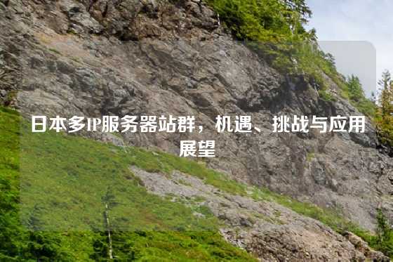 日本多IP服务器站群，机遇、挑战与应用展望