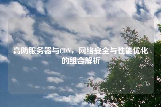 高防服务器与CDN，网络安全与性能优化的组合解析