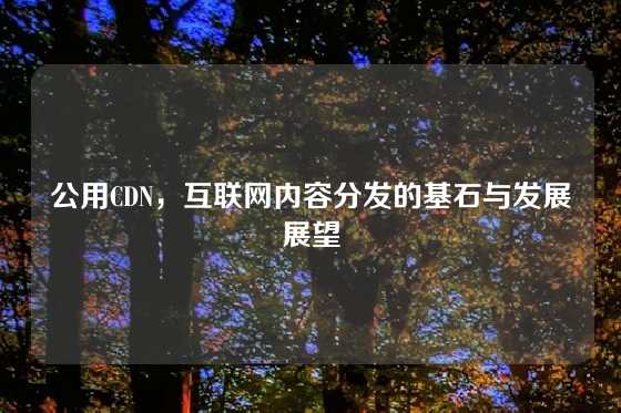 公用CDN，互联网内容分发的基石与发展展望