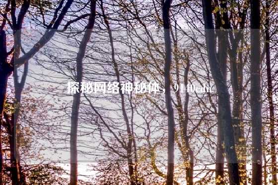 探秘网络神秘体，9140cdn