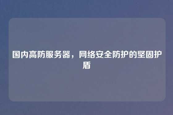 国内高防服务器，网络安全防护的坚固护盾