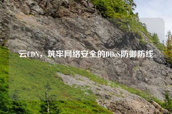 云CDN，筑牢网络安全的DDoS防御防线