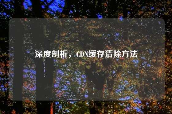 深度剖析，CDN缓存清除方法