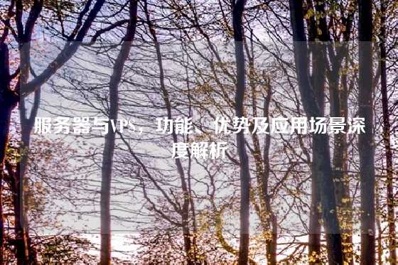服务器与VPS，功能、优势及应用场景深度解析