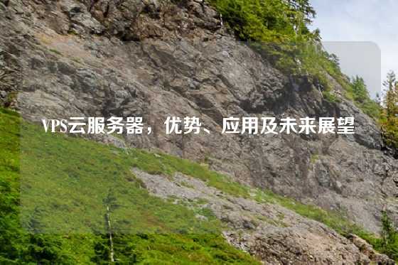 VPS云服务器，优势、应用及未来展望