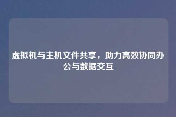 虚拟机与主机文件共享，助力高效协同办公与数据交互